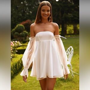 Alamour the Label Celine Mini Dress